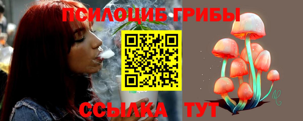 Галлюциногенные грибы MAGIC MUSHROOMS Барнаул
